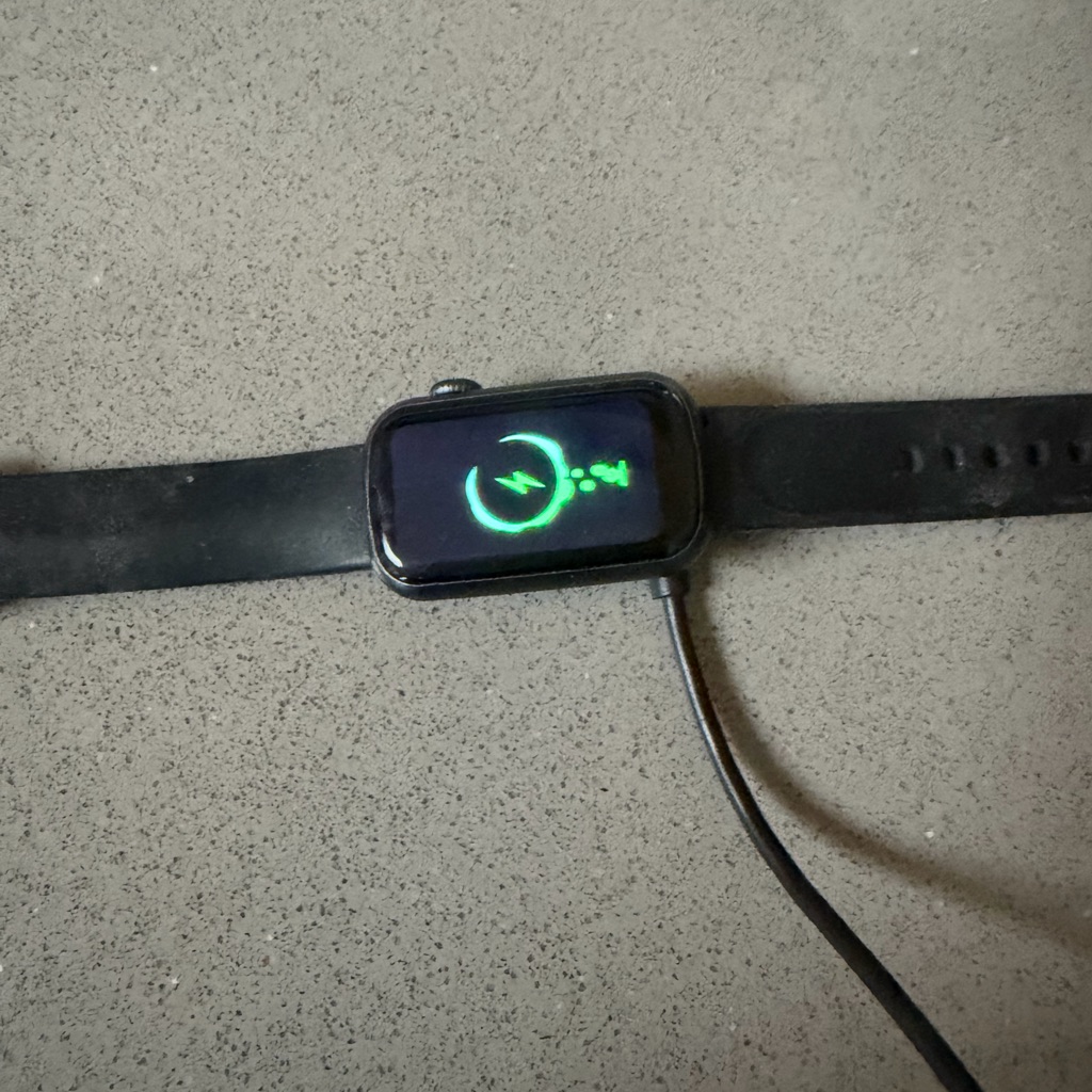 Fitbit Fitvii